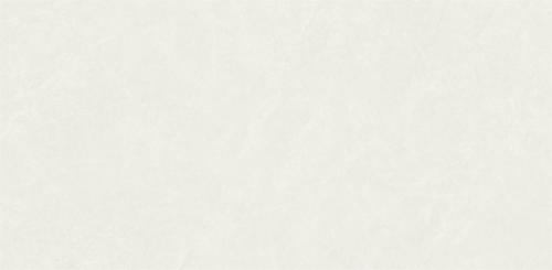 NO1804E801(3)
