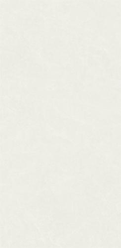 NO1715E801(3)