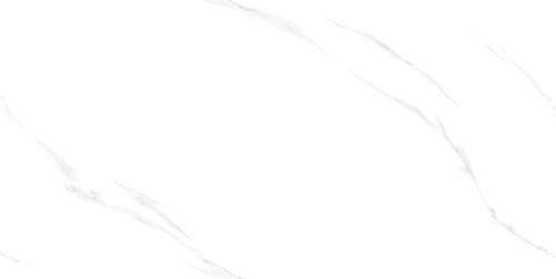 NO1408L12-1(2)